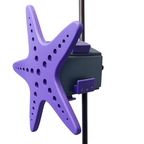 Starfish Box