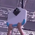Cliff Nut