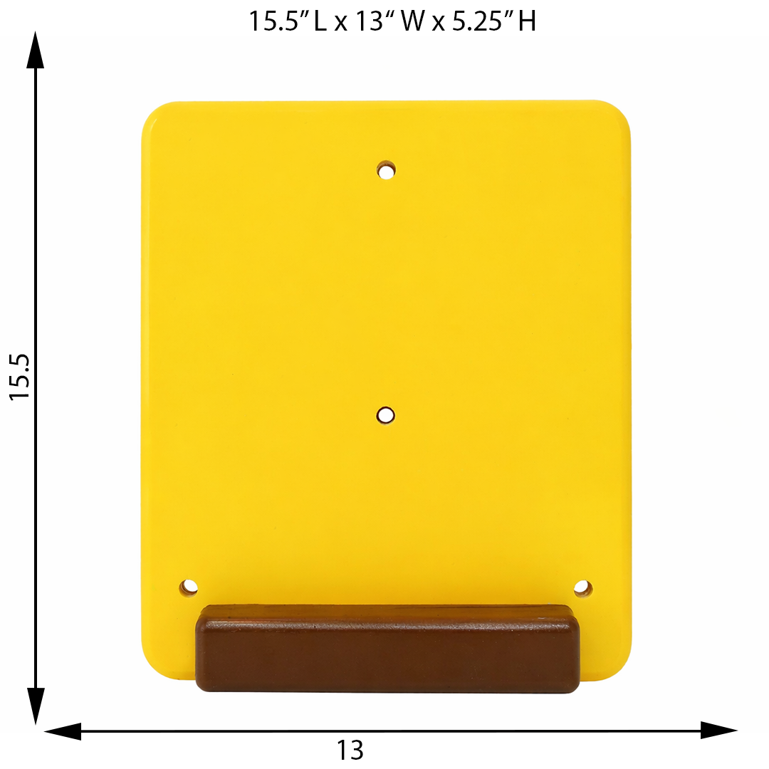 Bob the Square