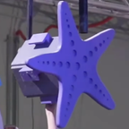 Starfish Box